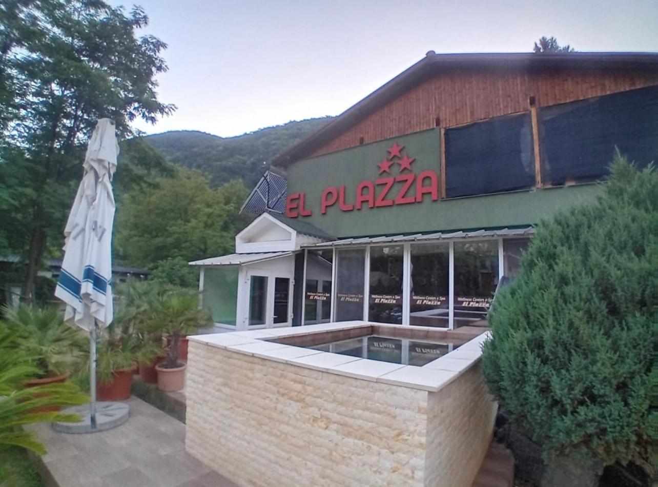 Pensiunea El Plazza Guest house 4*