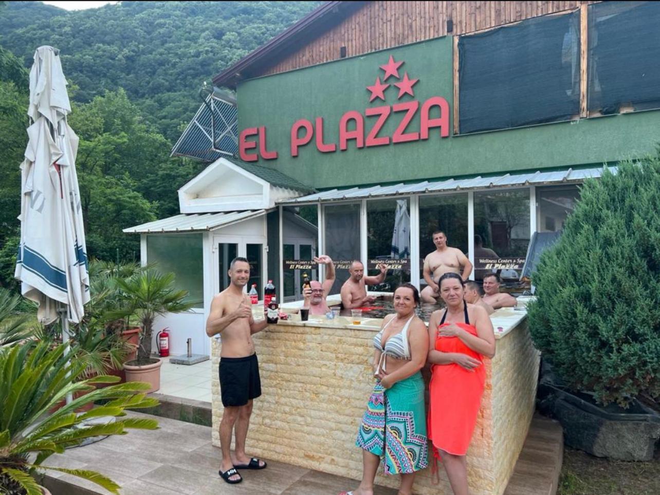 Pensiunea El Plazza Guest house 4*
