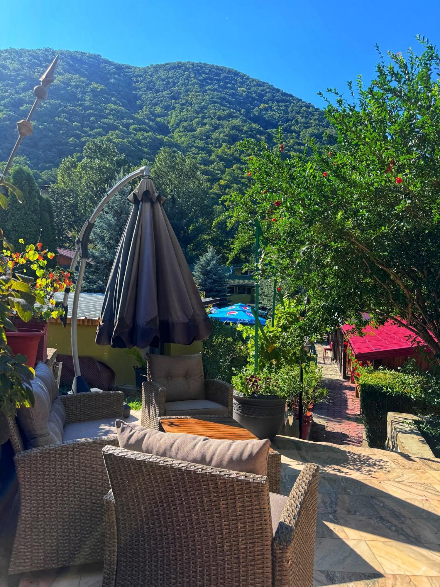 Pensiunea El Plazza Guest house Baile Herculane