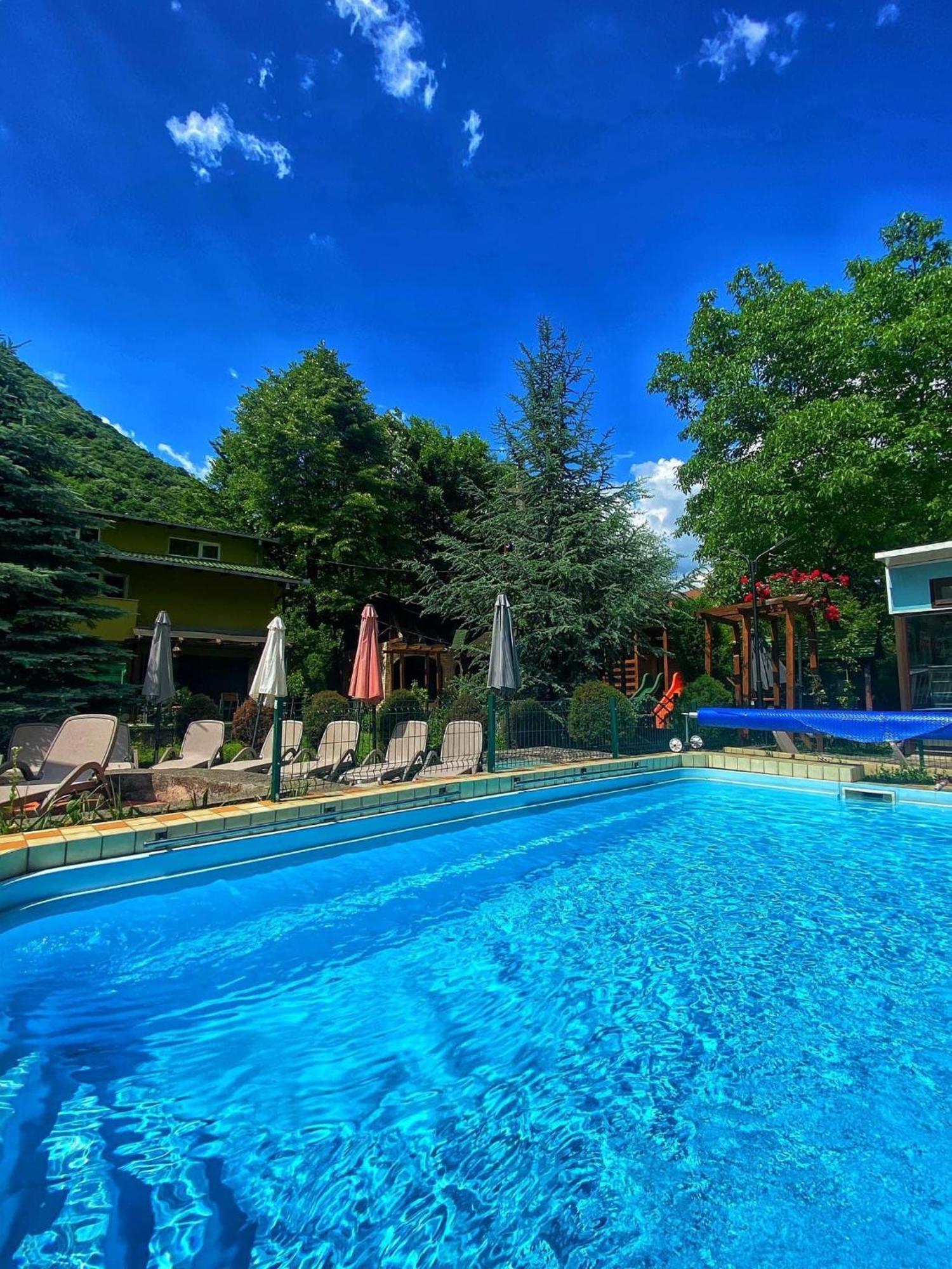 Pensiunea El Plazza Guest house 4*